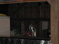 IMG_0367