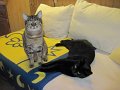 IMG_0431
