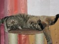 IMG_0443