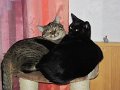 IMG_0453
