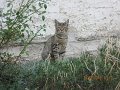 IMG_0035