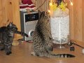 IMG_0165