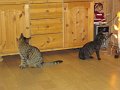 IMG_0167