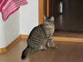 IMG_0170