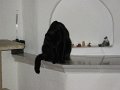 IMG_0171