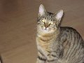 IMG_0172