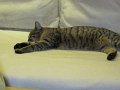 IMG_0173