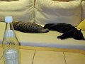 IMG_0175