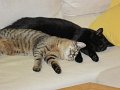 IMG_0184