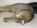 IMG_0185