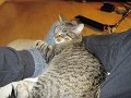 IMG_0239