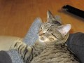 IMG_0242