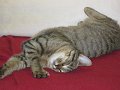 IMG_0257