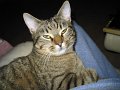 IMG_0265