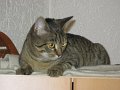 IMG_0275