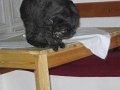 IMG_0283