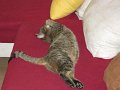 IMG_0292
