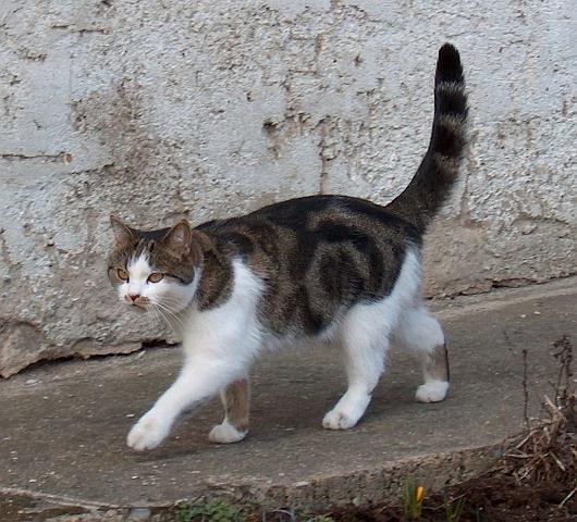 HPIM0039.JPG